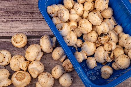 Young mushrooms in a plastic tray and mushrooms scattered on a wooden background. Close up