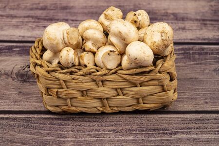 Young mushrooms in a wicker basket on a wooden background. Close upの写真素材