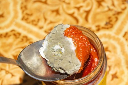 Mold growing on the tomato paste. Close upの写真素材