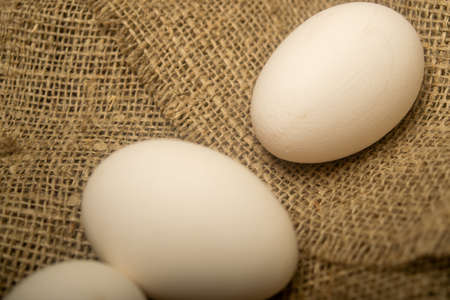 White chicken eggs on a background of homespun fabric with a rough texture. Close upの写真素材