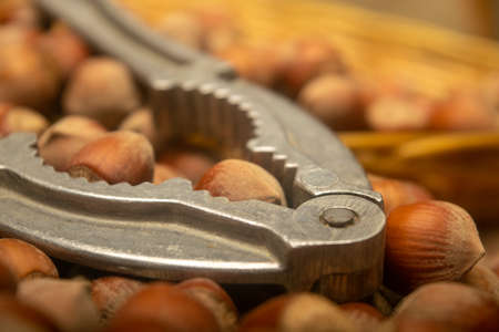 A scattering of hazelnuts and a Nutcracker on the background of burlap with a rough texture. Close upの写真素材