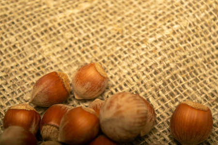 Hazelnut scattered on the background of burlap with a rough texture. Close upの写真素材