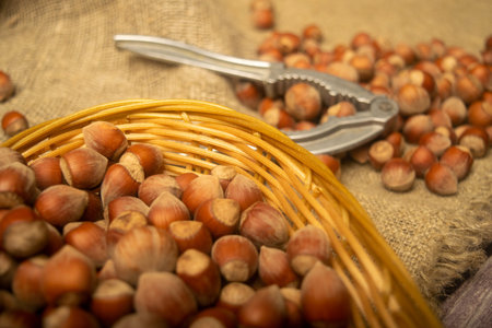 Hazelnuts in a wicker basket, a scattering of hazelnuts and a Nutcracker on the background of burlap...