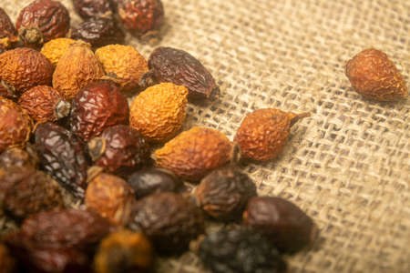 Dried rosehip fruits scattered on a homespun fabric with a rough texture. Close upの写真素材
