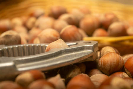 A scattering of hazelnuts and a Nutcracker on the background of burlap with a rough texture. Close upの写真素材