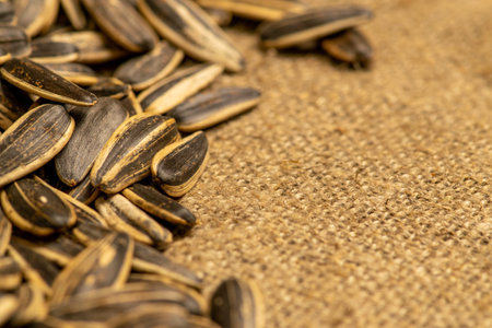 Fried sunflower seeds scattered on rough-textured burlap. Close up
