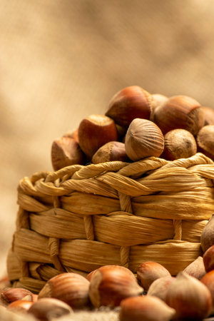 Hazelnuts in a wicker basket and hazelnuts scattered on a background of homespun fabric with a rough...