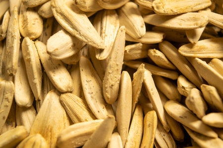 White sunflower seeds roasted with sea salt the texture of the surface. Close up