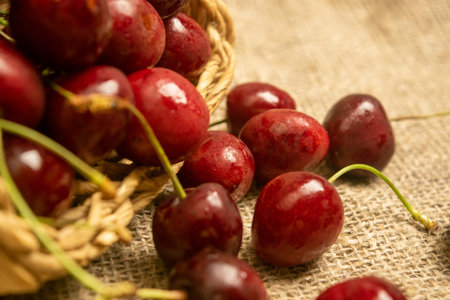 Ripe juicy cherries in a wicker basket and cherries scattered on a homespun fabric with a rough...