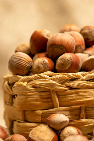 Hazelnuts in a wicker basket and hazelnuts scattered on a background of homespun fabric with a rough texture. Close upの写真素材