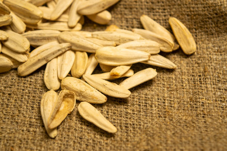 White sunflower seeds fried with sea salt in bulk on a background of coarse-textured burlap. Close...
