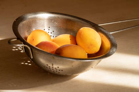 Ripe juicy apricots in a metal colander on a light wooden table in the sun. Close upの写真素材