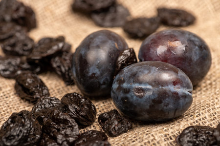 Juicy black plums and dried prunes on a homespun cloth with a rough texture. Close up. Autumn...