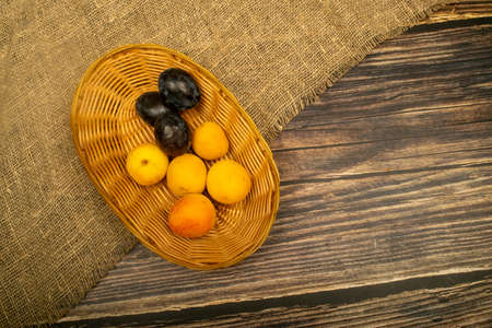 Ripe apricots and juicy black plums in a wicker basket. Close up. Autumn harvestの写真素材