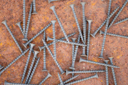 Black self-tapping screws scattered on a rusty sheet of metal, close-up, selective focus.の写真素材