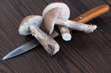 Cut young boletus mushrooms and a knife with a wooden handle on a wooden background, close-up,...