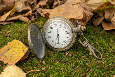 Vintage pocket watch on the last green grass surrounded by yellow autumn leaves, Close-upの写真素材