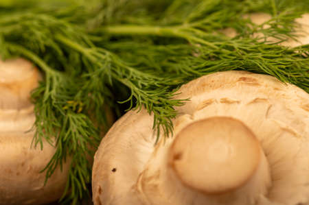 Fresh young mushrooms and juicy green dill on the table. Close-up selective focus.の写真素材