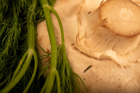 Fresh young mushrooms and juicy green dill on the table. Close-up selective focus.