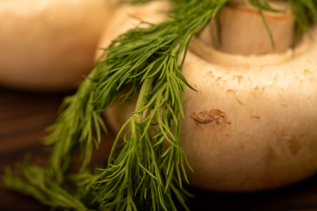 Fresh young mushrooms and juicy green dill on the table. Close-up selective focus.の写真素材