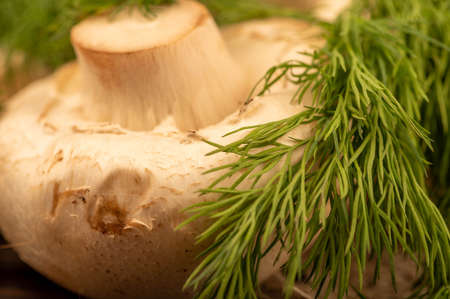 Fresh young mushrooms and juicy green dill on the table. Close-up selective focus.の写真素材