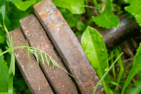 Old vintage dumbbells in the green grass, close-up, selective focus.の写真素材
