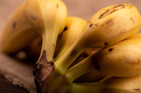Ripe yellow bananas close-up. Selective focus. Autumn harvestの写真素材