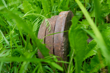 Old vintage dumbbells in the green grass, close-up, selective focus.の写真素材
