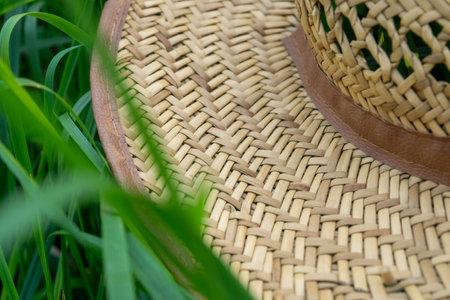 An old straw hat on the green grass, close-up, selective focusの写真素材