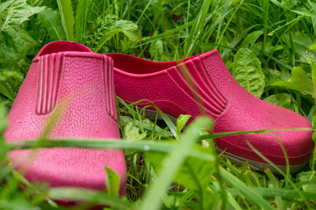 A pair of pink rubber galoshes in the green grass