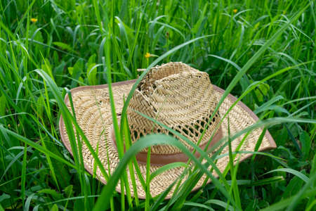 An old straw hat on the green grass, close-up, selective focusの写真素材