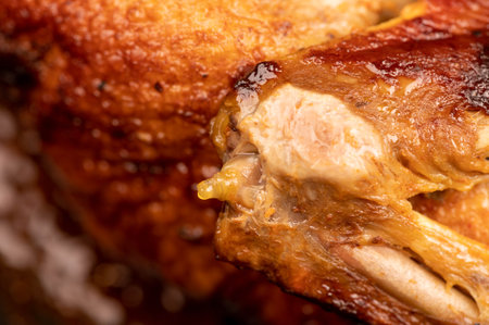 Pieces of roast duck with spices in a frying pan, close-up, selective focusの写真素材