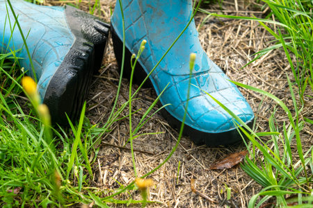 A pair of blue rubber boots in the green grassの写真素材