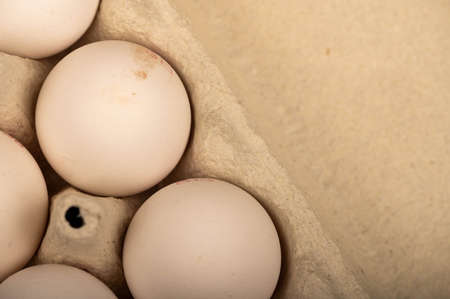 White chicken eggs in a tray made of white cardboard, close-up selective focusの写真素材