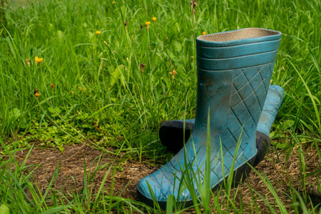 A pair of blue rubber boots in the green grassの写真素材