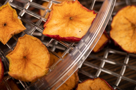 Apple chips on the grill of the dryer, close-up, selective focusの写真素材