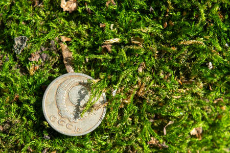 Old coins in the forest on green mossの写真素材