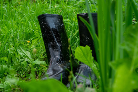 A pair of black rubber boots in the green gras