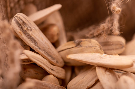 White sunflower seeds scattered on the background of coarse burlap, close-up selective focus