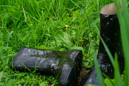 A pair of black rubber boots in the green gras