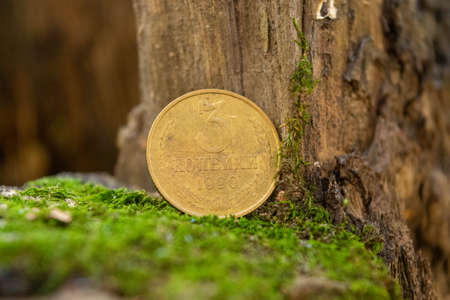 Old coins in the forest on the stump of an old treeの写真素材