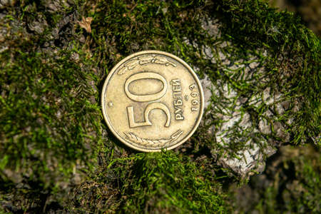Old coins in the forest on green mossの写真素材