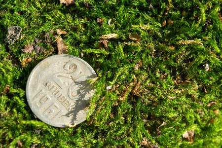 Old coins in the forest on green mossの写真素材