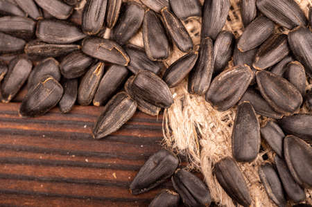Fried black sunflower seeds scattered on the table, close-up, selective focusの写真素材