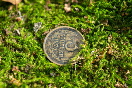 Old coins in the forest on green mossの写真素材