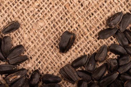 Fried black sunflower seeds scattered on the table, close-up, selective focusの写真素材