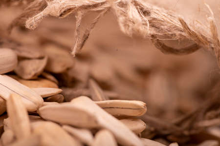 White sunflower seeds scattered on the background of coarse burlap, close-up selective focusの写真素材