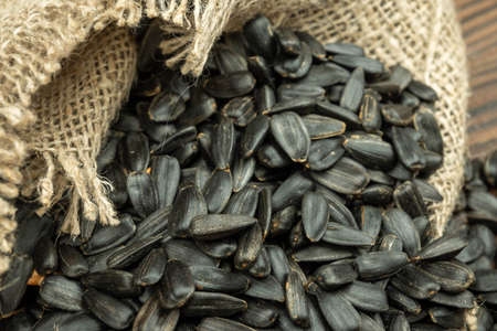 Sunflower seeds are scattered on homespun fabric with a rough texture. close up, selective focusの写真素材