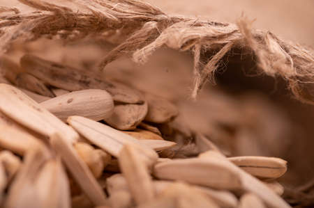 White sunflower seeds scattered on the background of coarse burlap, close-up selective focusの写真素材