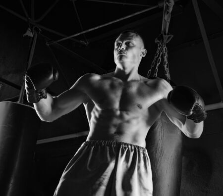 The professional boxer stands in the fighting stance and looks menacingly at the enemyの写真素材